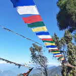 Tibetan Cotton Horizontal Prayer Flags